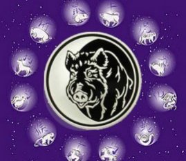 СВИНЬЯ (КАБАН) ЗНАК ЗОДИАКА